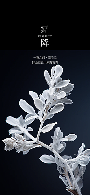 节气霜降宣传活动海报