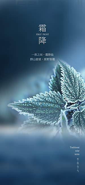 节气霜降宣传活动海报
