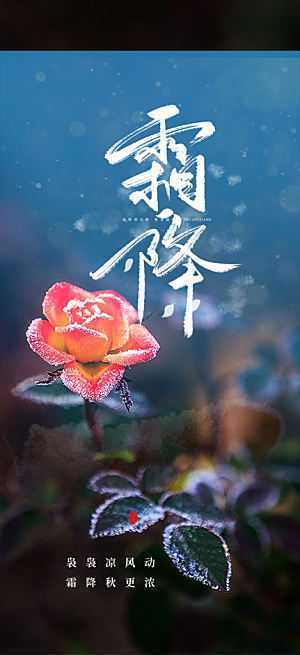 节气霜降宣传活动海报
