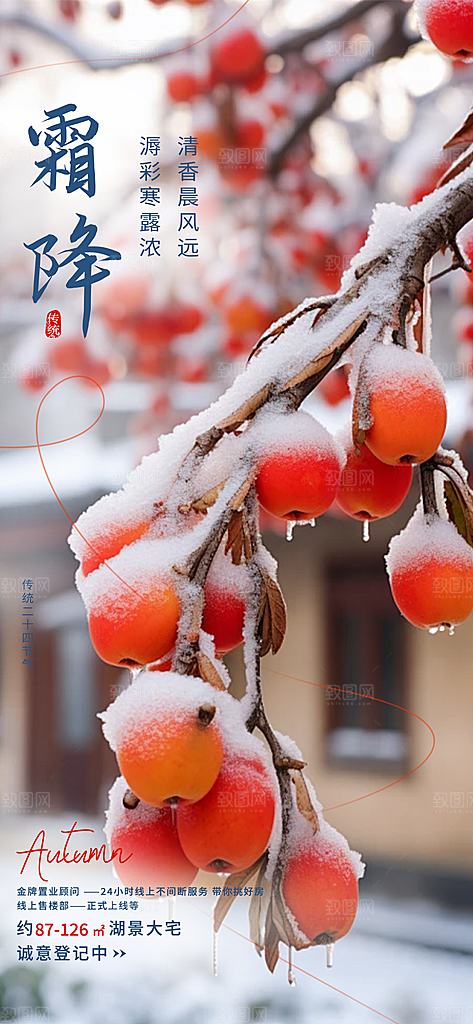 二十四节气霜降活动海报