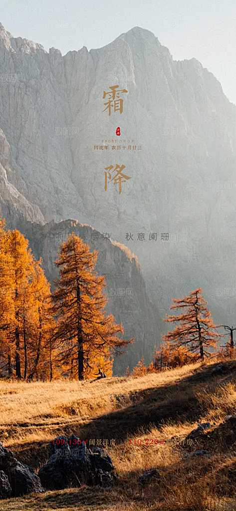 二十四节气霜降宣传活动海报