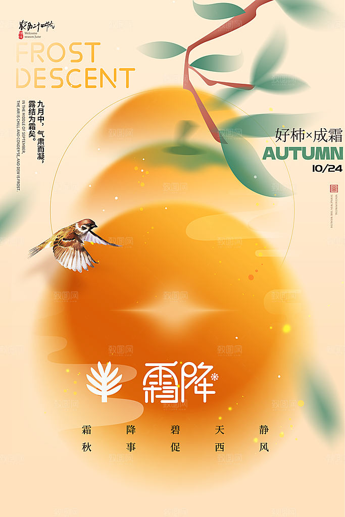 霜降节气简约大气海报