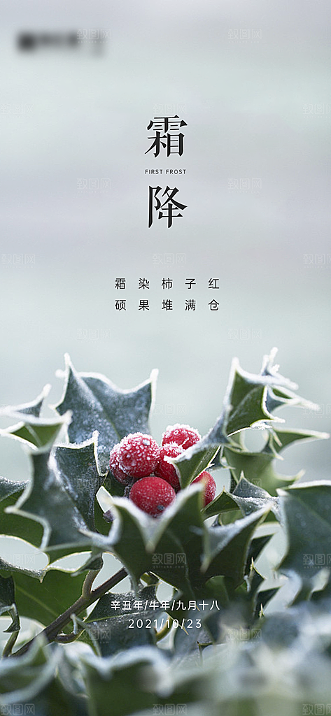 霜降唯美国风节气传统插画宣传海报