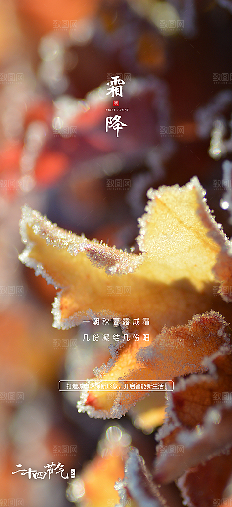 霜降传统节气插画唯美国风宣传海报