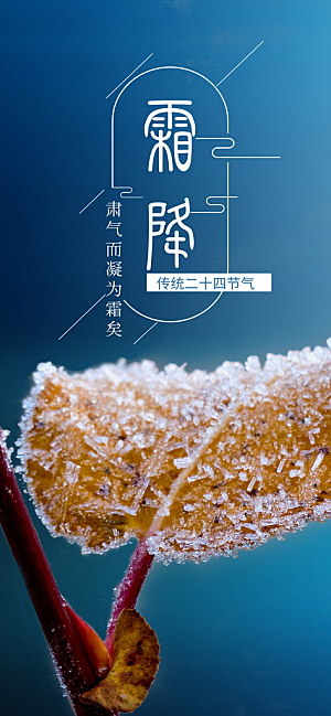霜降节气简约大气海报