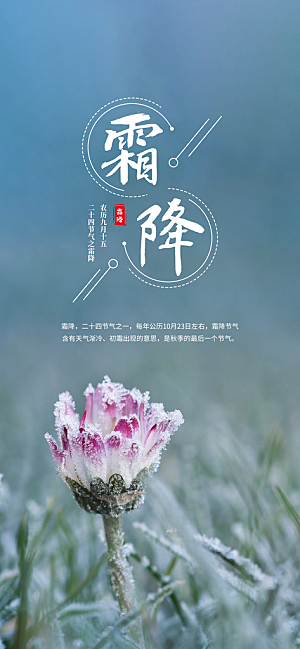 霜降节气简约大气海报