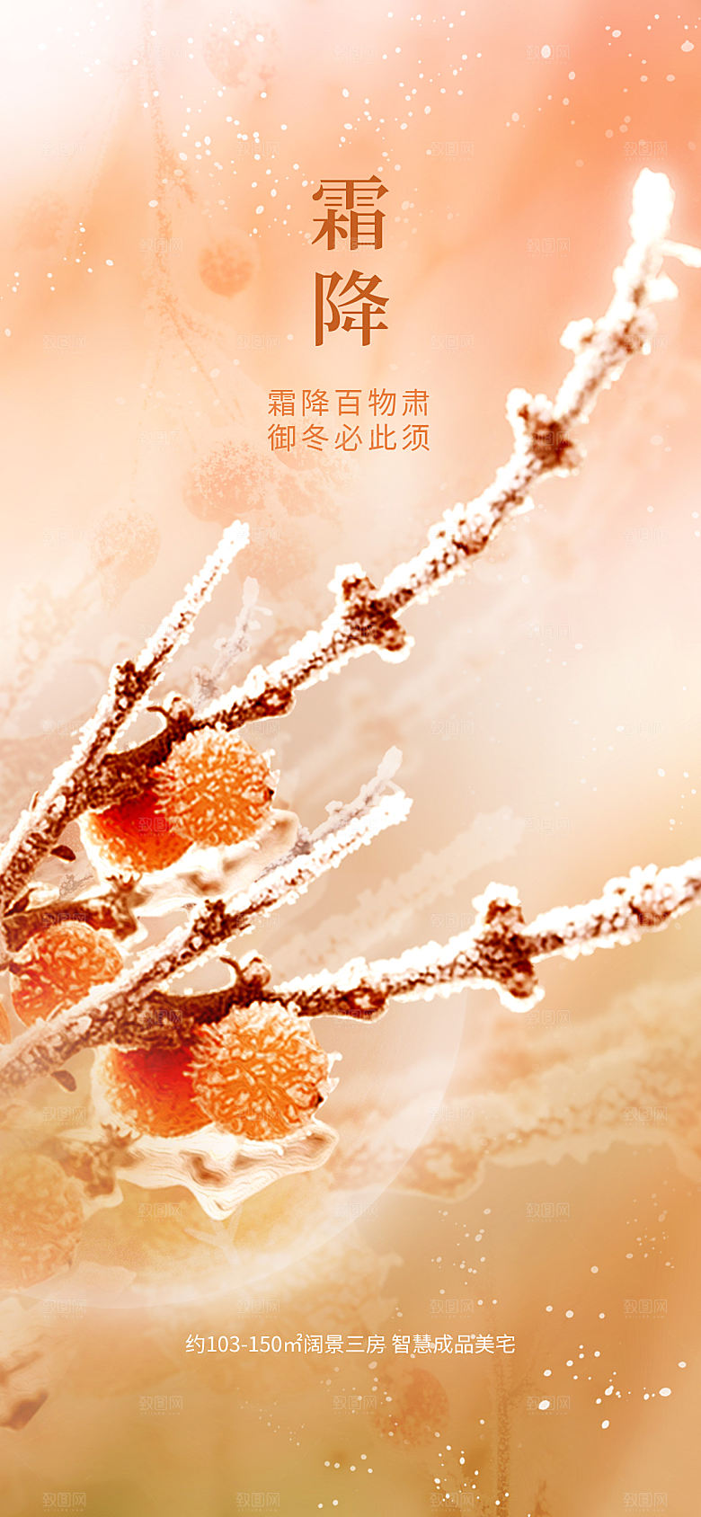 霜降节气简约大气海报