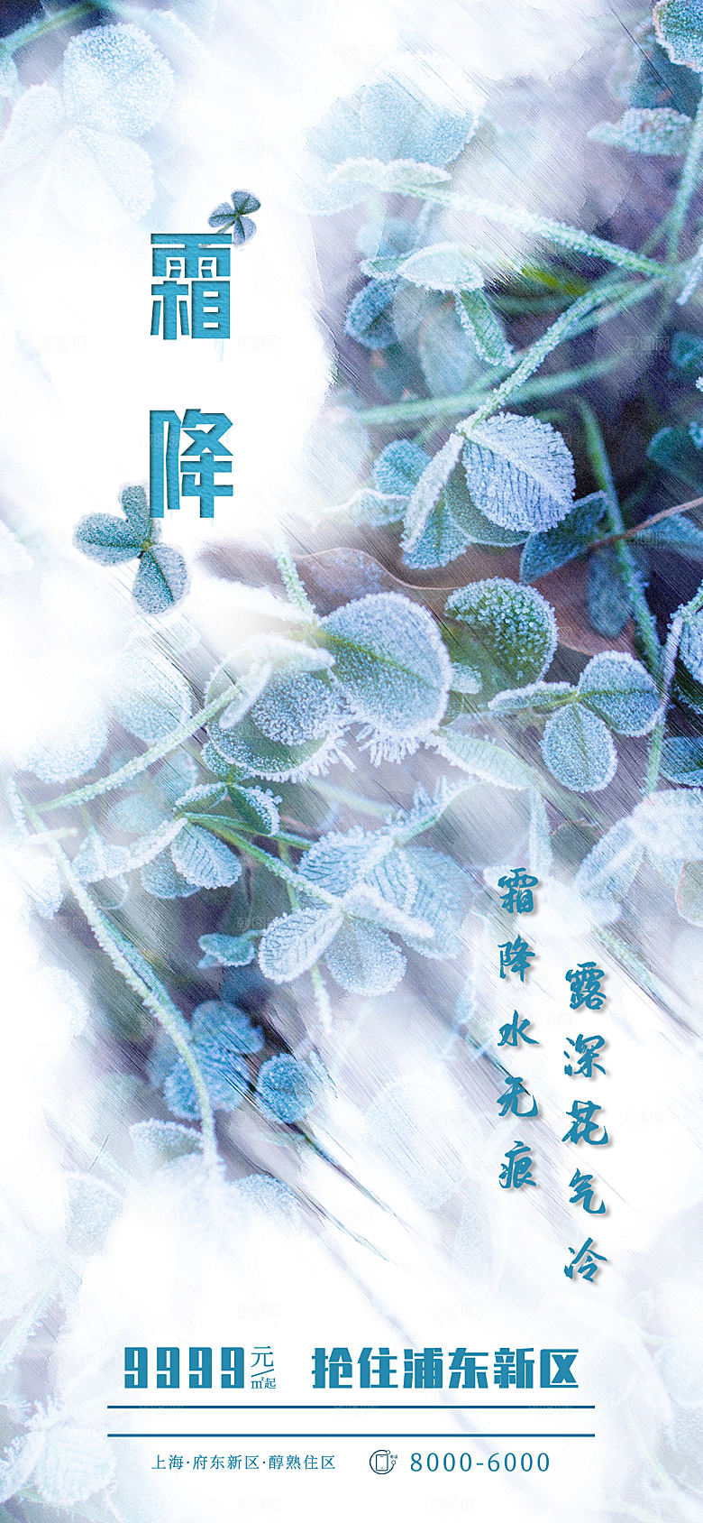 霜降节气简约大气海报