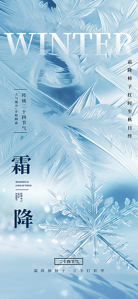霜降节气简约大气海报