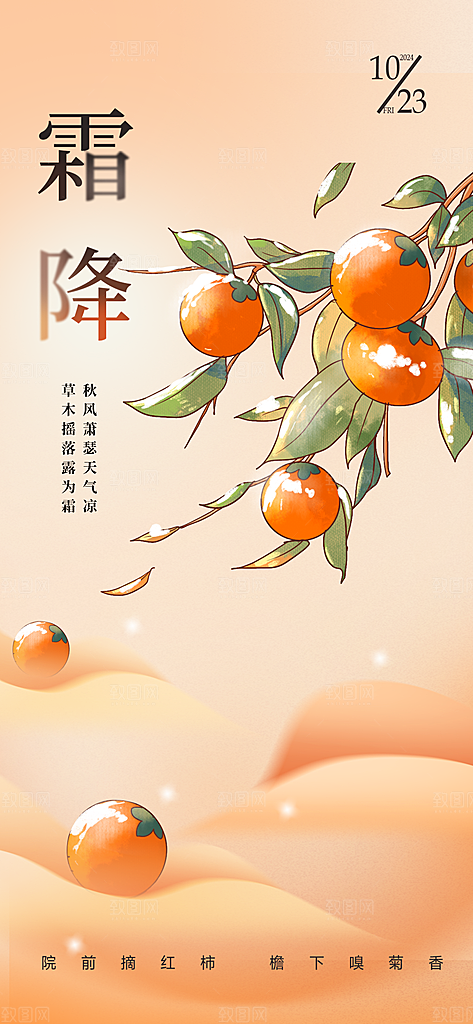 中国传统节气霜降手机海报