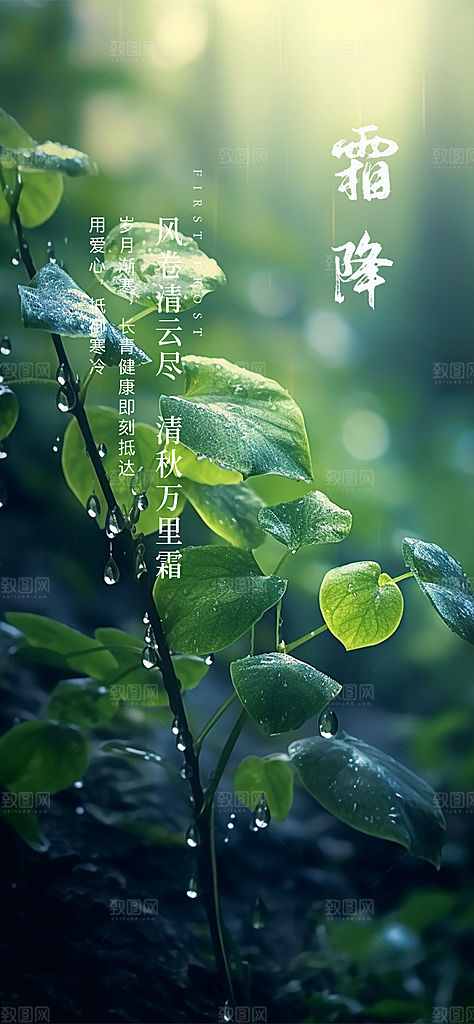 二十四节气霜降活动海报