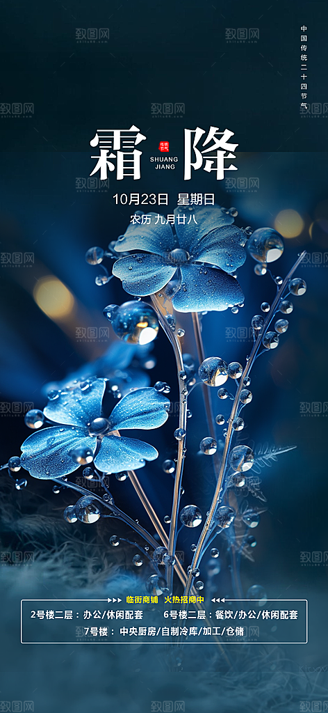 二十四节气霜降活动海报