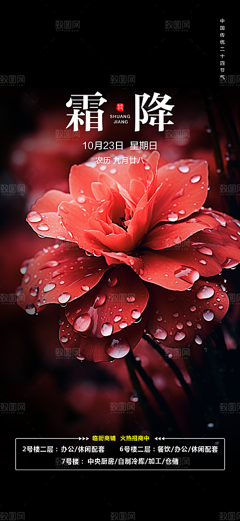 二十四节气霜降宣传活动海报