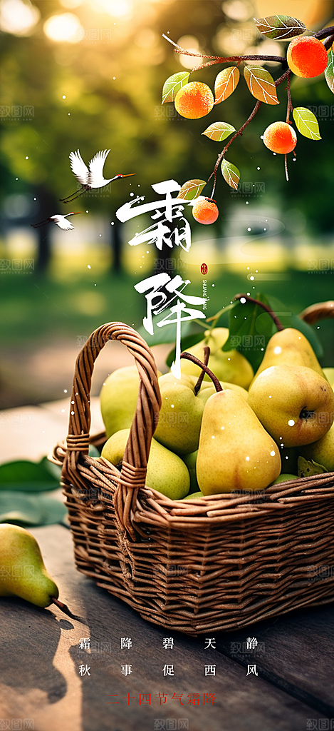 传统二十四节气霜降宣传活动海报