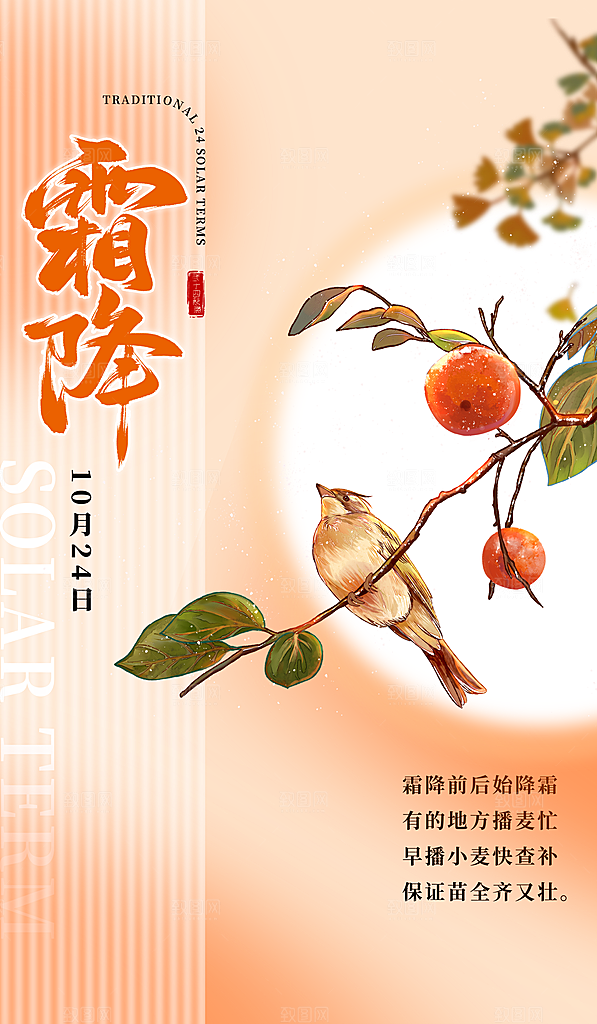 传统节气霜降海报模版