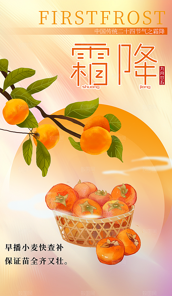 霜降节气简约大气海报