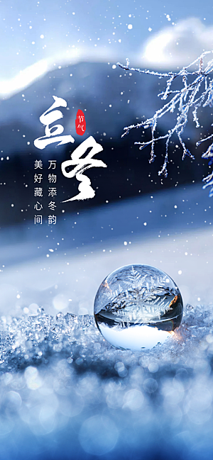 立冬节日节气大气唯美简约海报
