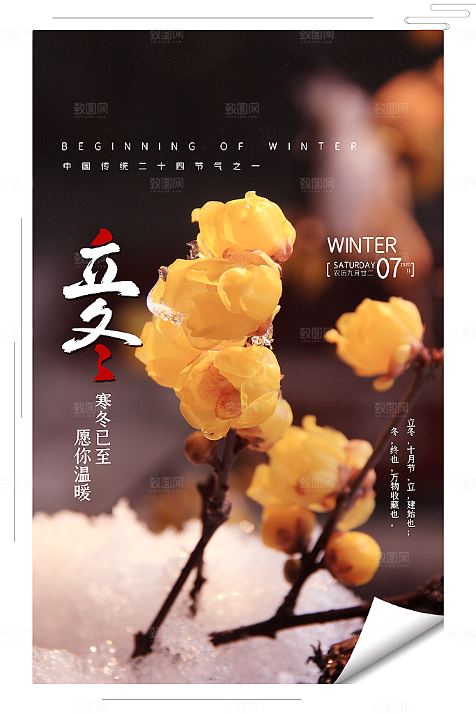 立冬节气简约大气海报