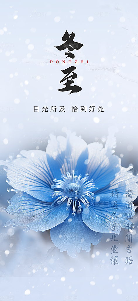 二十四节气冬至宣传活动海报