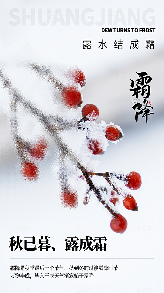 中国传统二十四节气霜降宣传海报模板