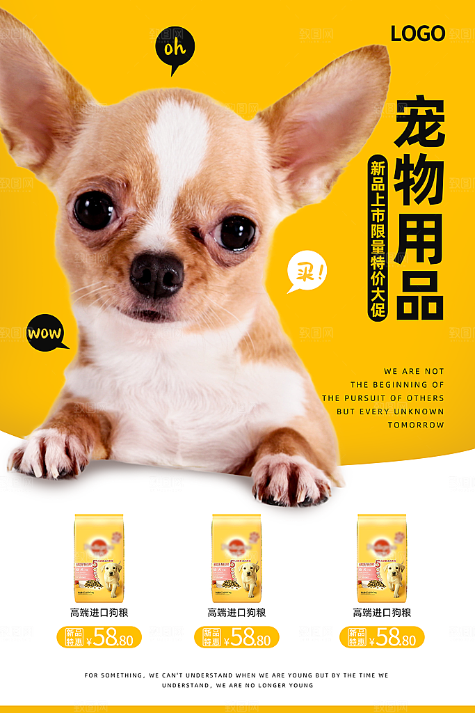 潮流创意萌宠物店猫咪狗狗产品活动宣传海报