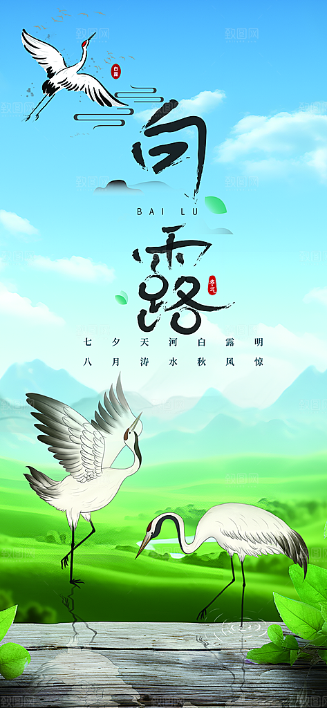 大气传统白露二十四节气海报
