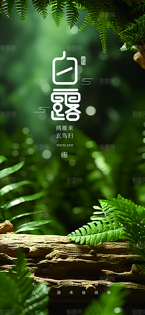大气传统白露二十四节气海报