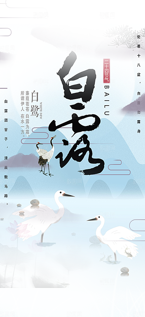 传统白露二十四节气海报