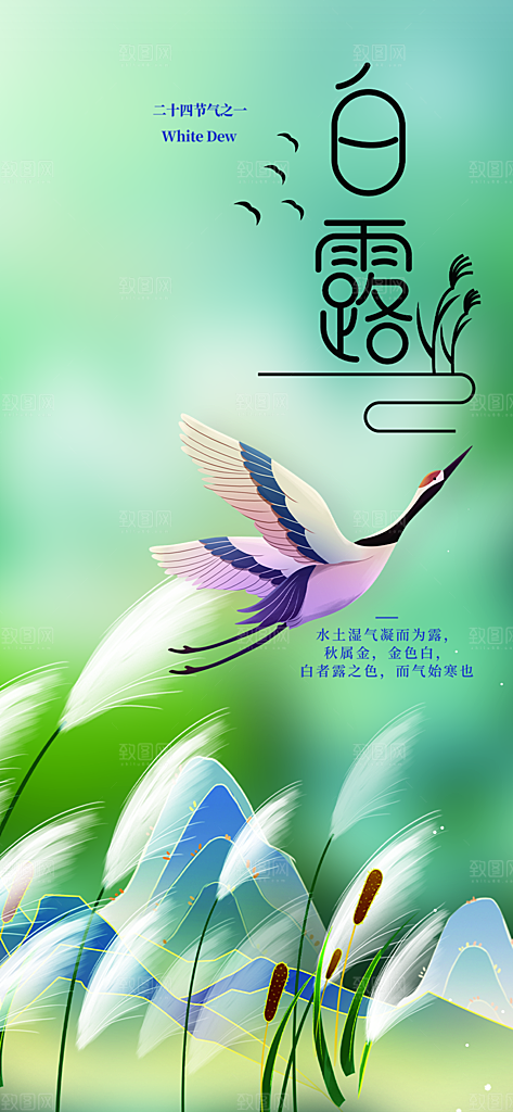 传统白露二十四节气海报