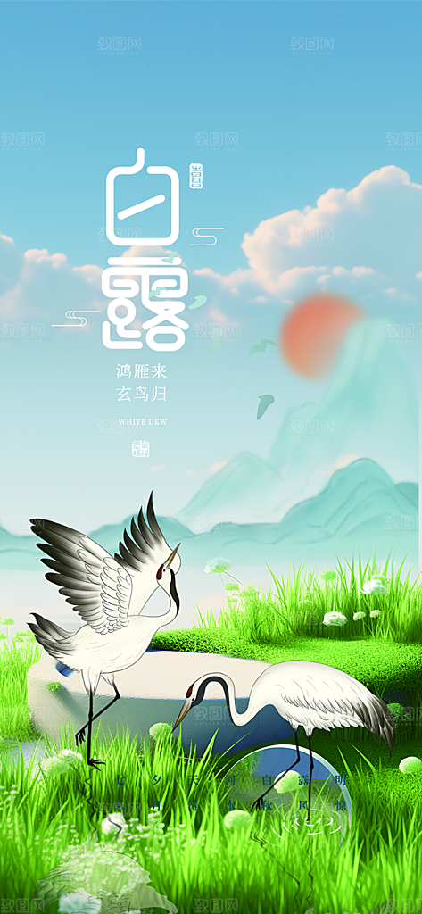 传统白露二十四节气海报
