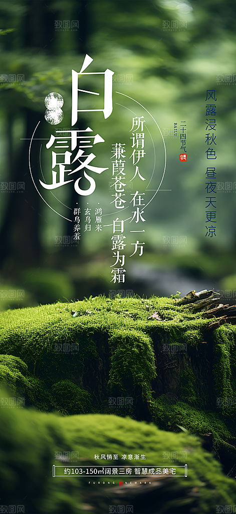 传统白露二十四节气海报
