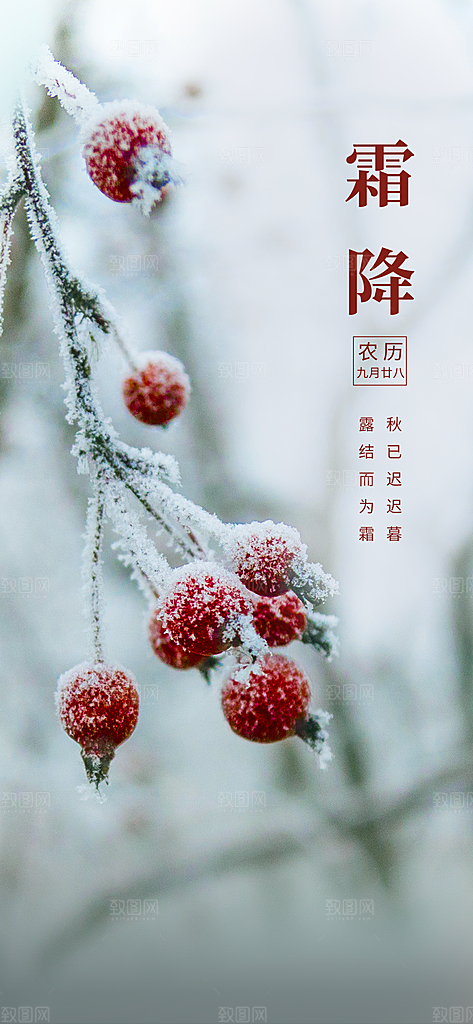 霜降节气唯美海报