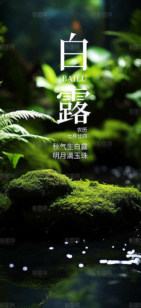 传统白露二十四节气海报