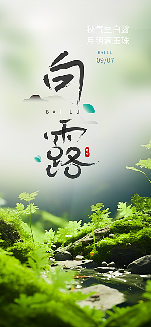 传统白露二十四节气海报