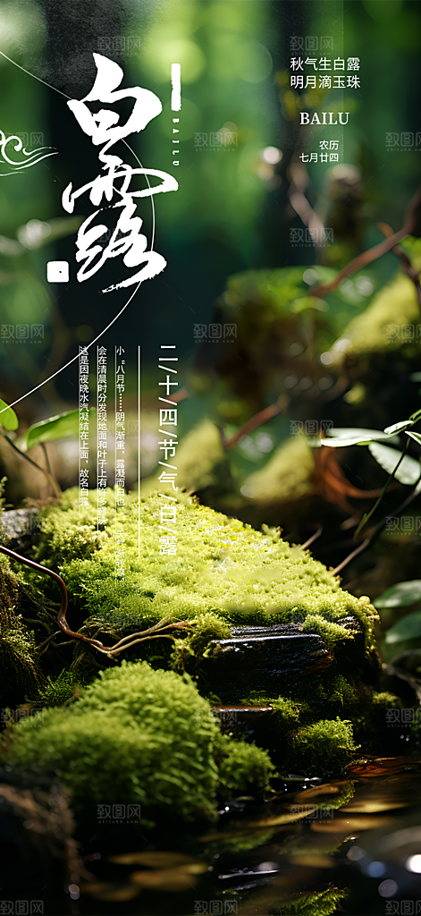 传统白露二十四节气海报