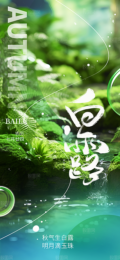 传统白露二十四节气海报