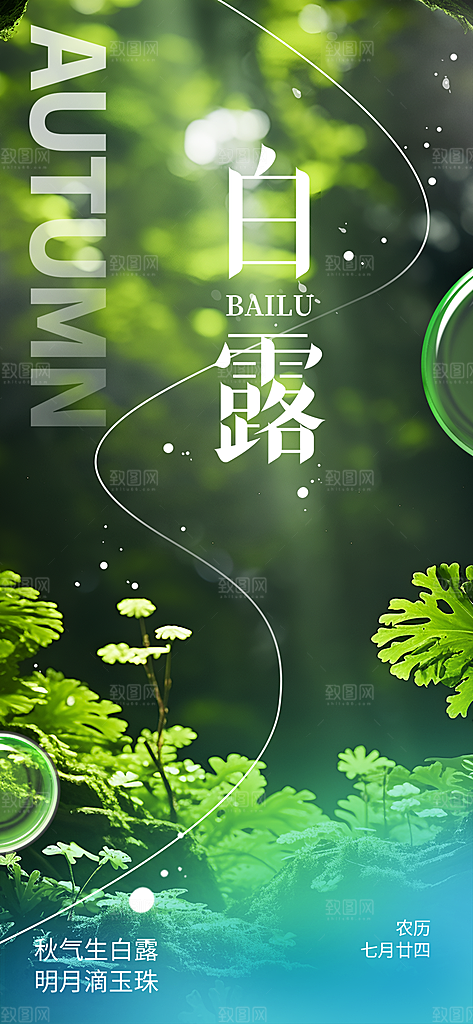 大气传统白露二十四节气海报