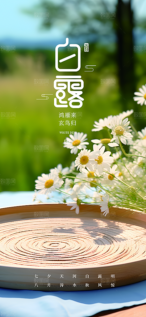 大气传统白露二十四节气海报
