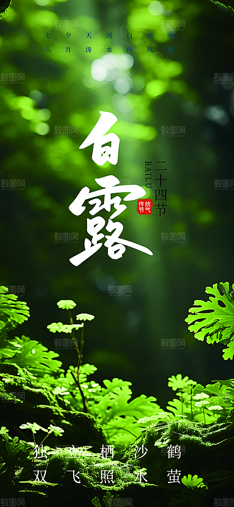 大气传统白露二十四节气海报