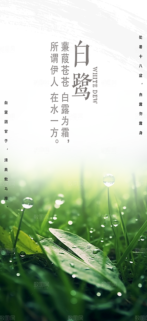 大气传统白露二十四节气海报