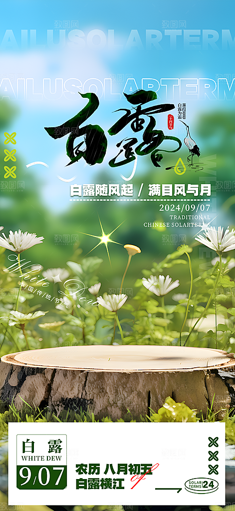 大气传统白露二十四节气海报
