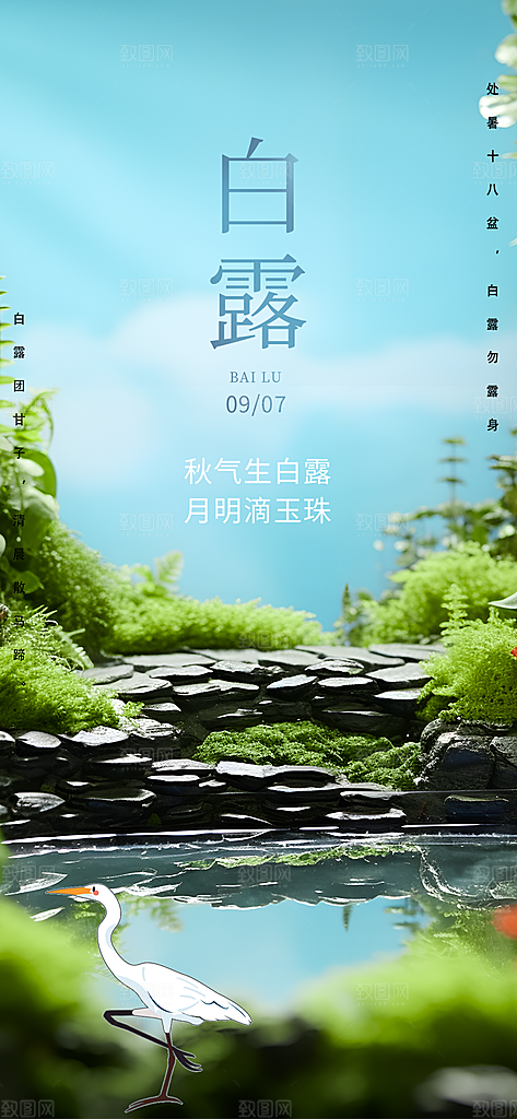 大气传统白露二十四节气海报