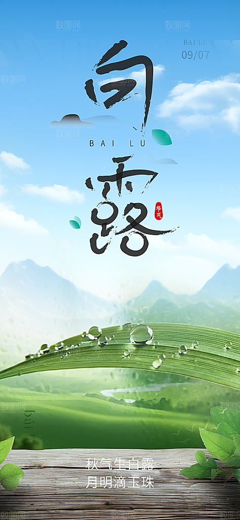 大气传统白露二十四节气海报