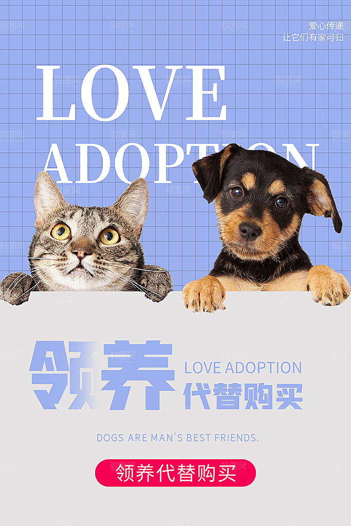 宠物宣传海报展板设计素材