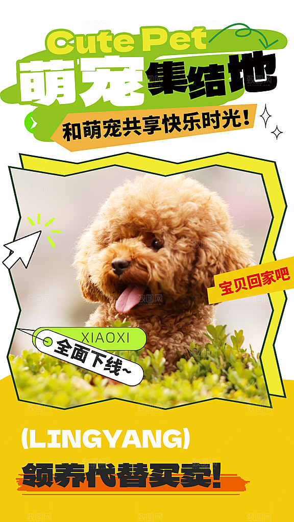 宠物海报宣传广告设计