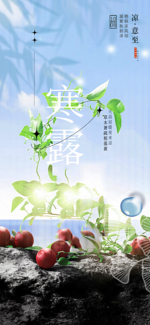 寒露二十四节气海报