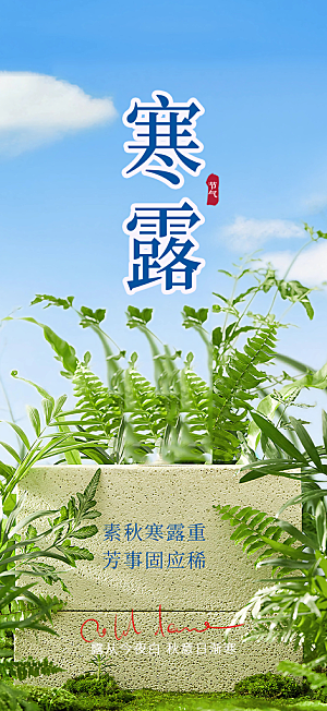 寒露二十四节气海报