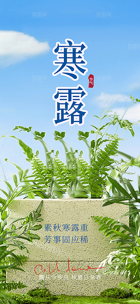 寒露二十四节气海报
