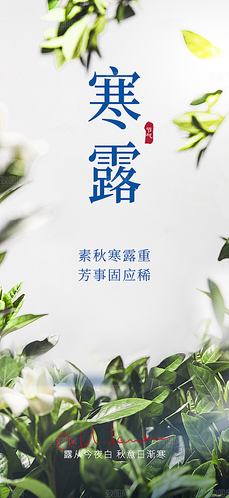 简约风传统寒露二十四节气海报