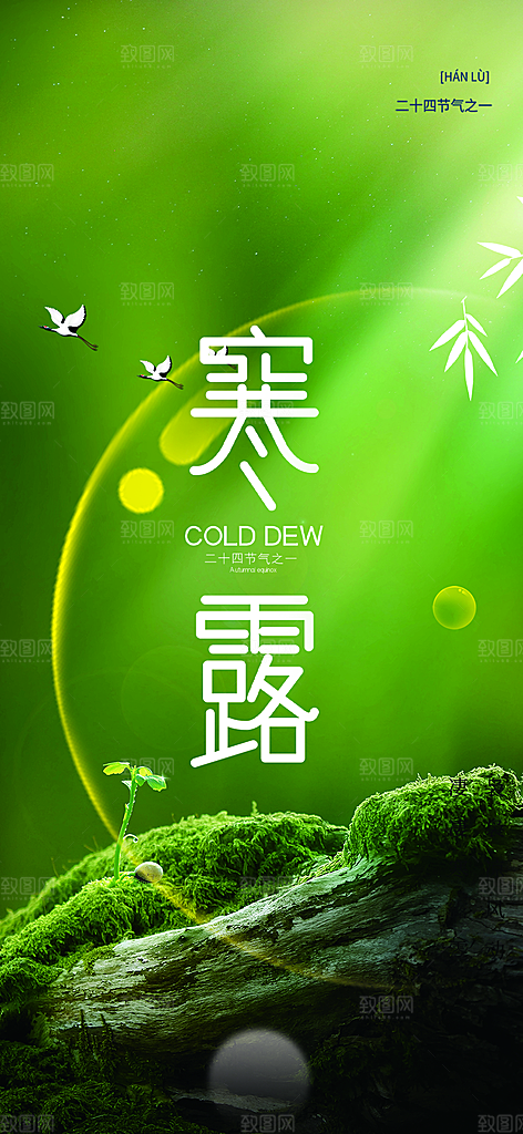 简约风传统寒露二十四节气海报